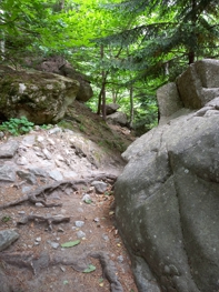 Die Cascade des Anglais